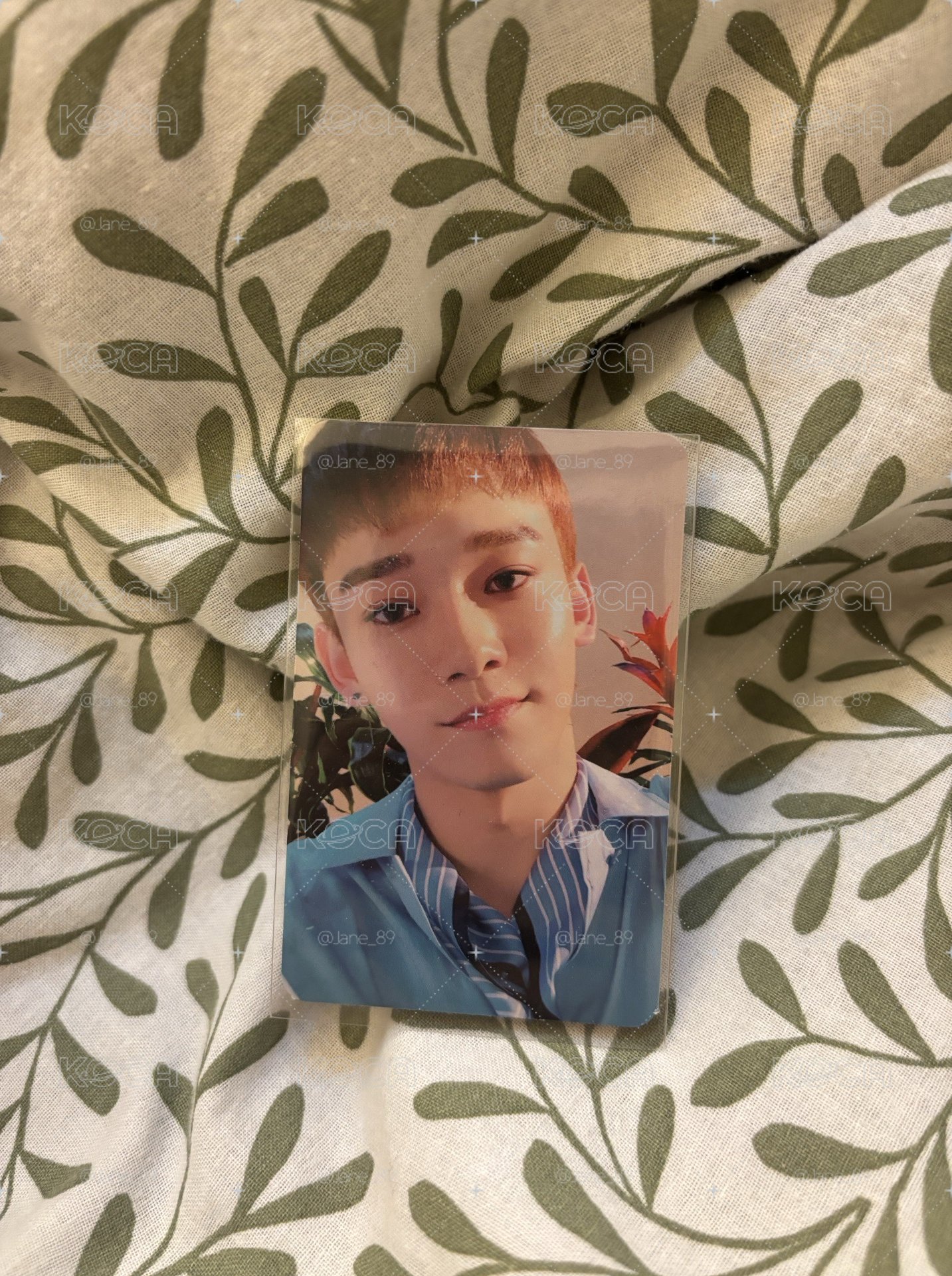 EXO CHEN