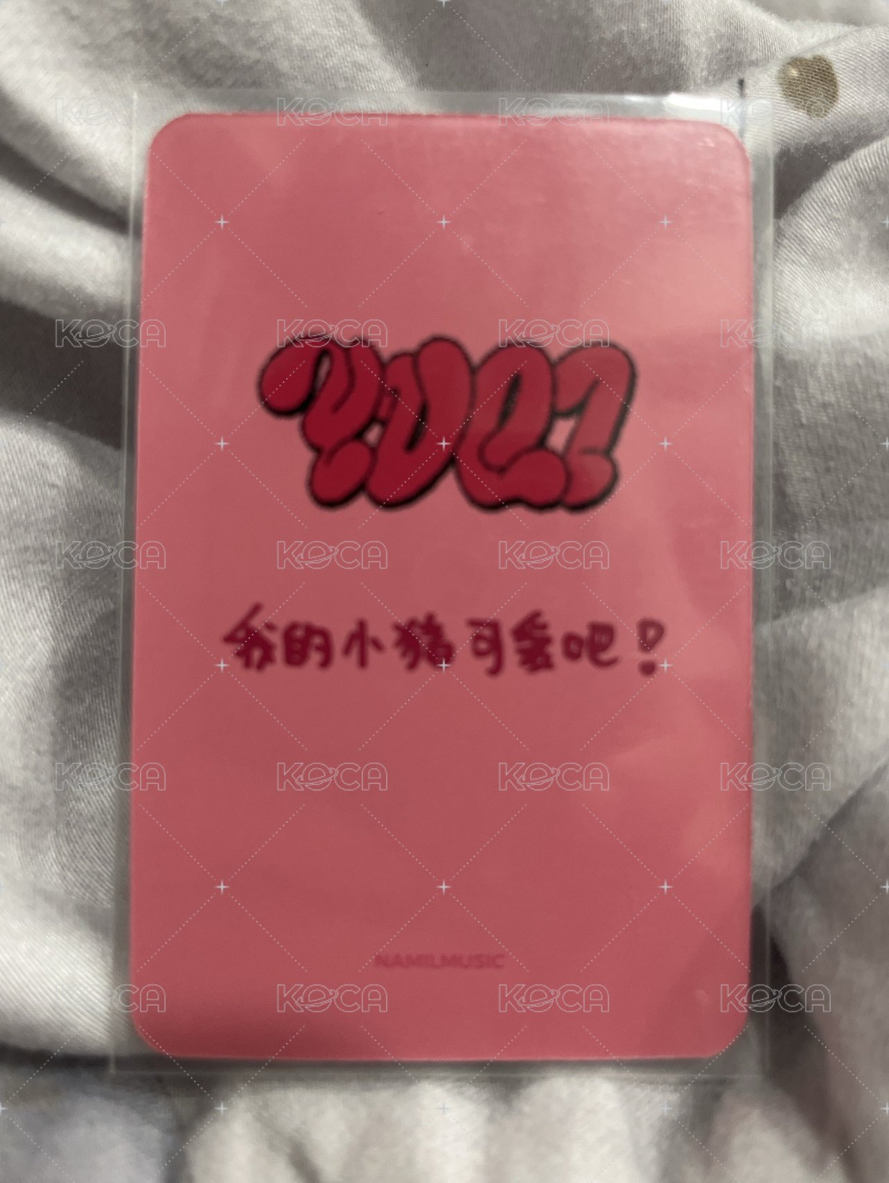小豬琦（中背：我的小豬可愛吧）