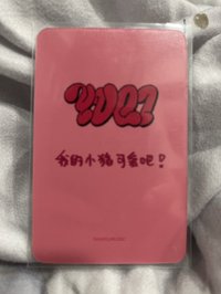 小豬琦（中背：我的小豬可愛吧）