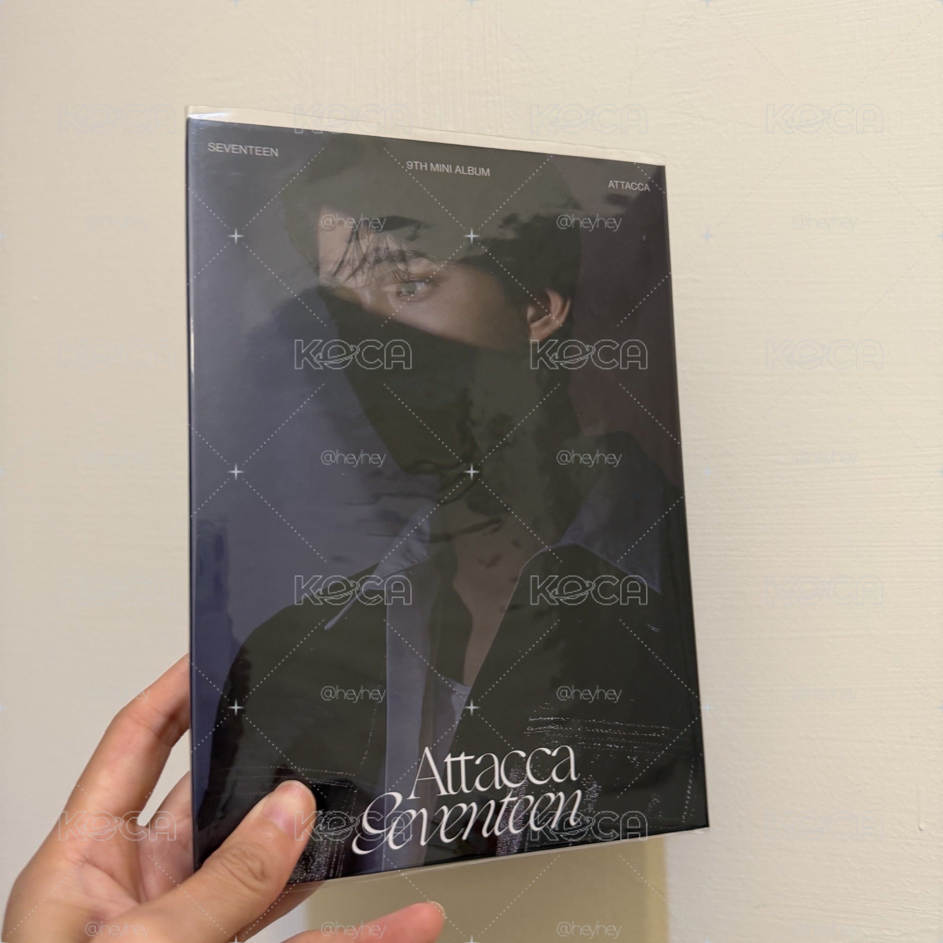 🎈碩迷9克拉盤