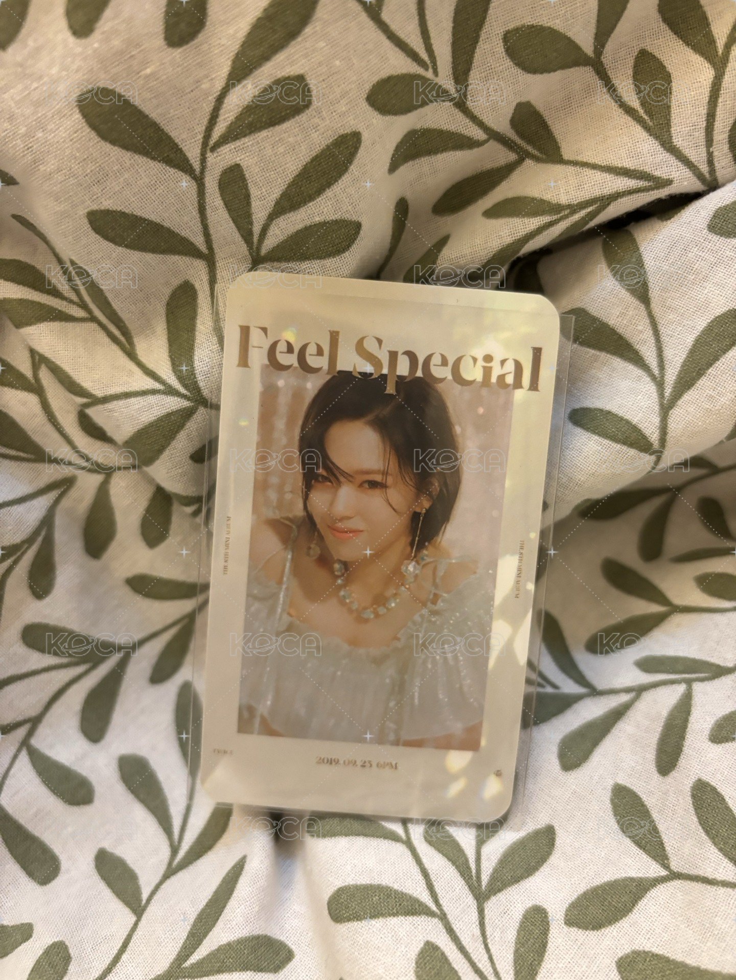 feel special 定延