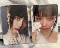 展覽卡一組