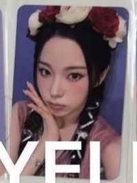 圭