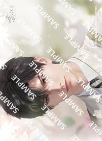 7net SPRING 相卡 2L判 A款