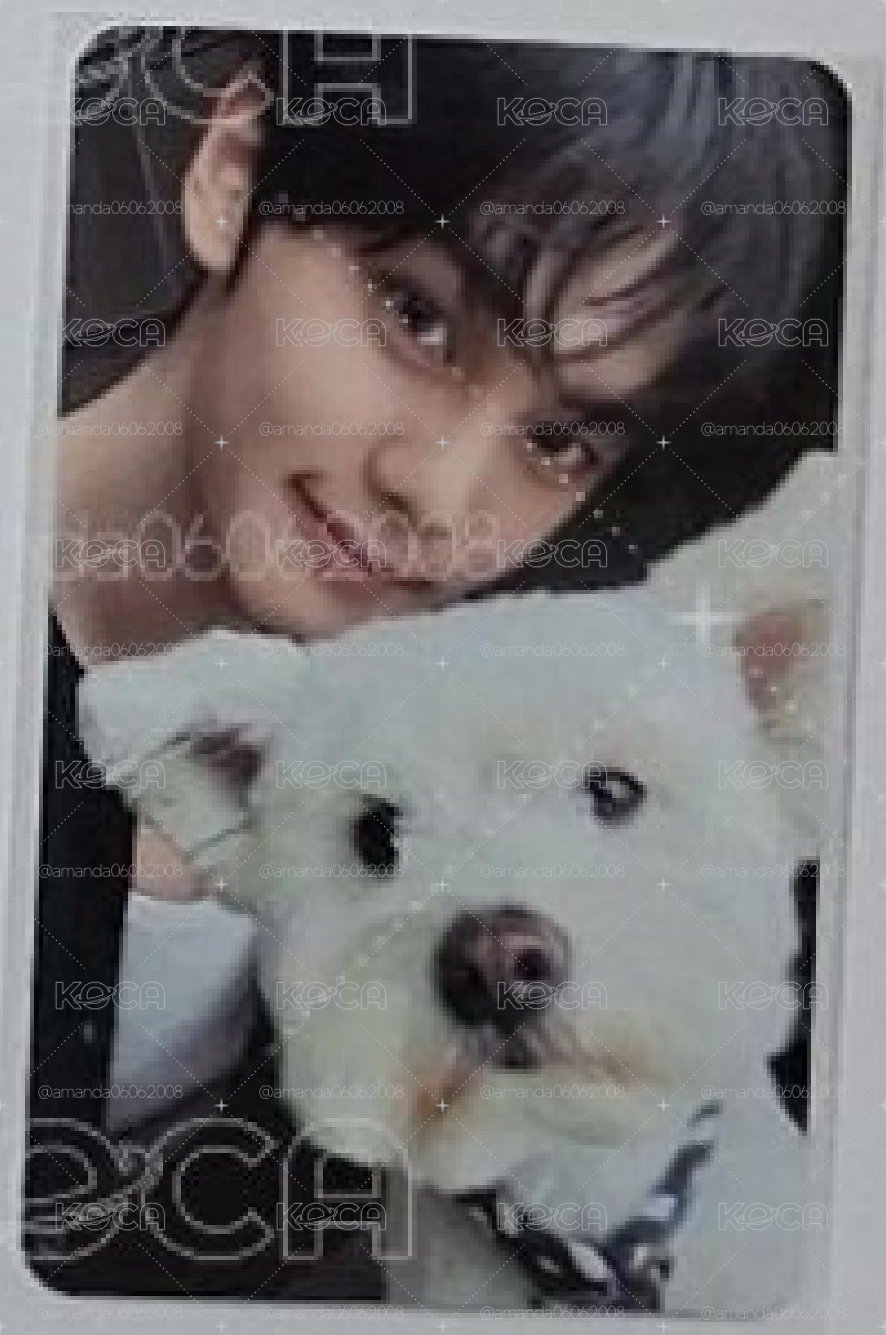 小狗卡奎🐶