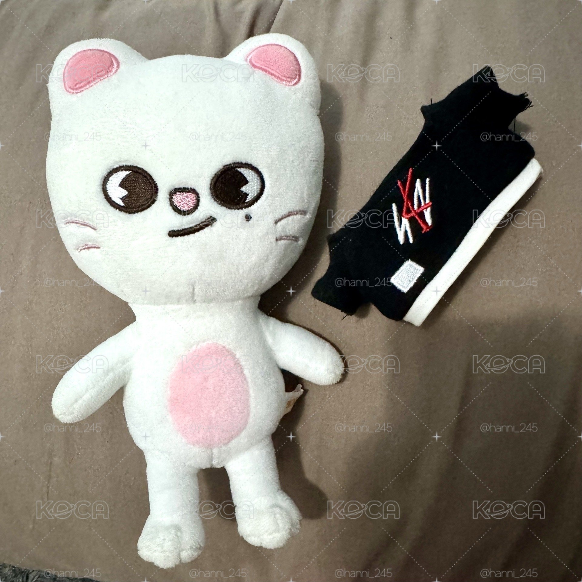 SKZ 辰20cm娃