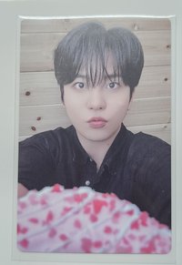 甜甜圈熊