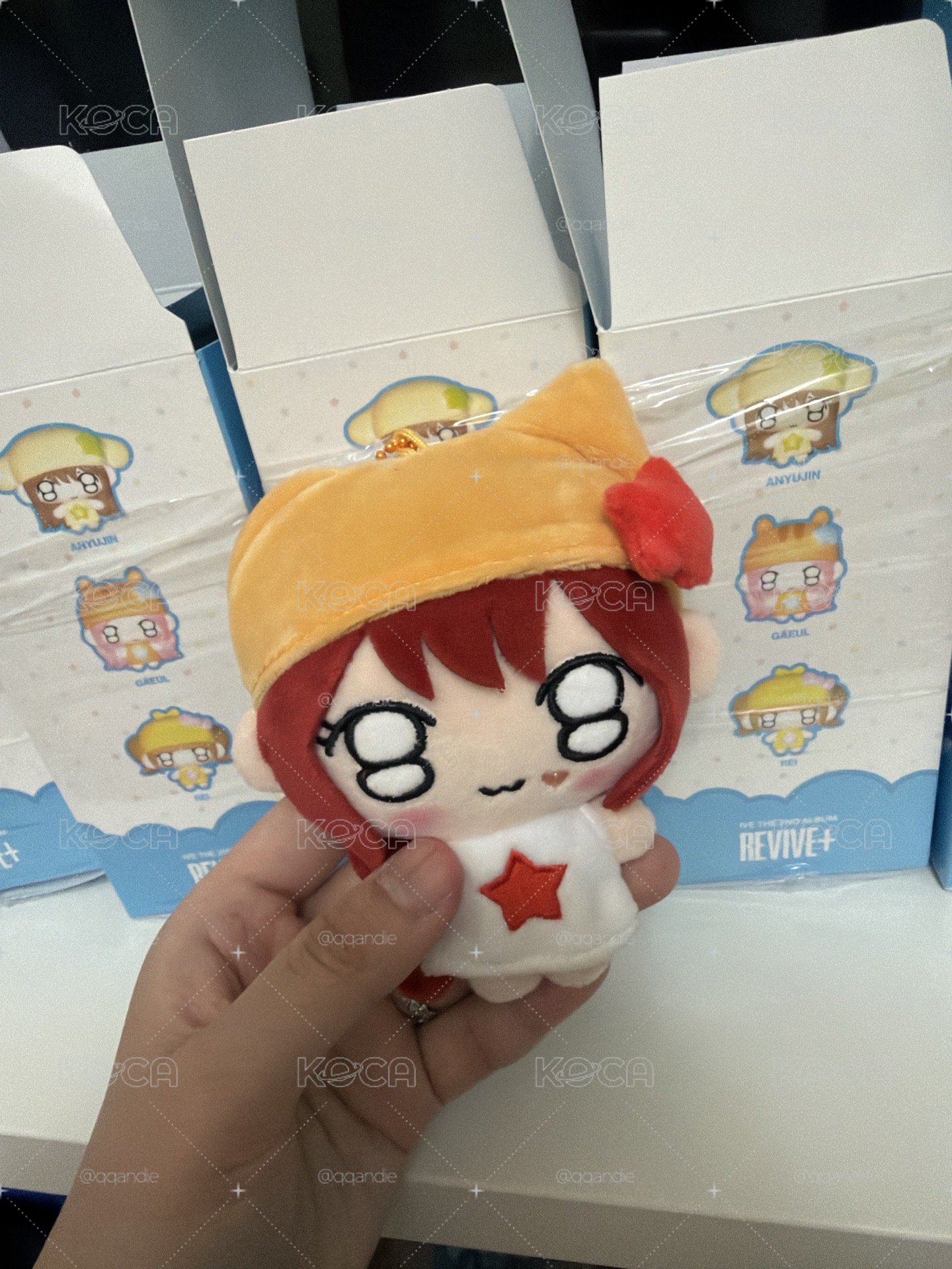 LIZ全專含小卡