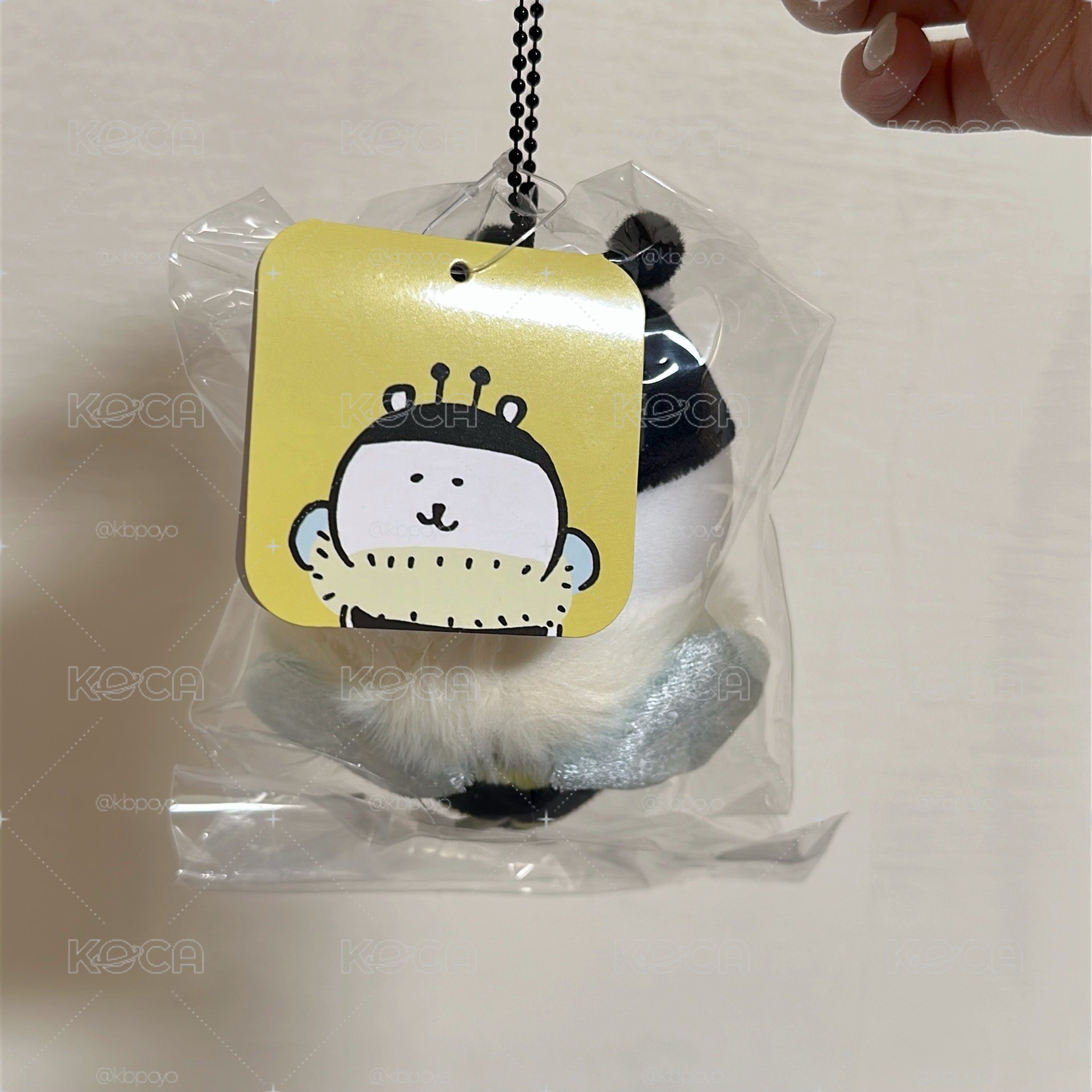 自嘲熊 蜜蜂熊