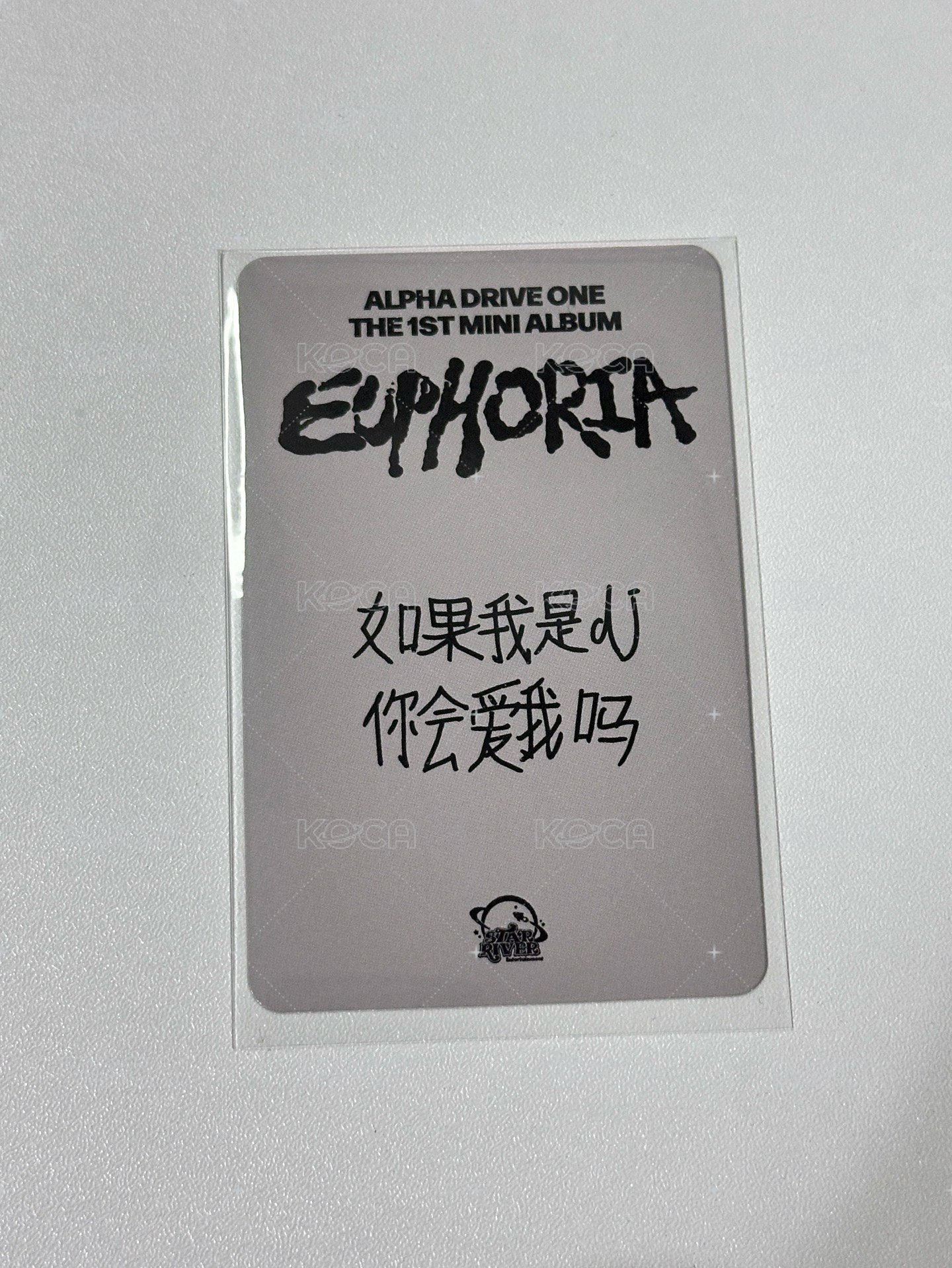 sr v字（中背）
