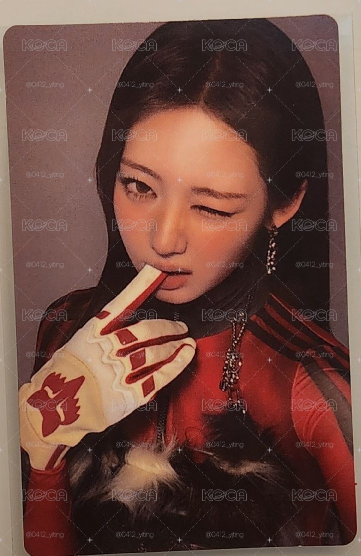 團封預售茶