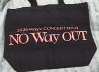WayV 二巡演唱會 帆布袋 