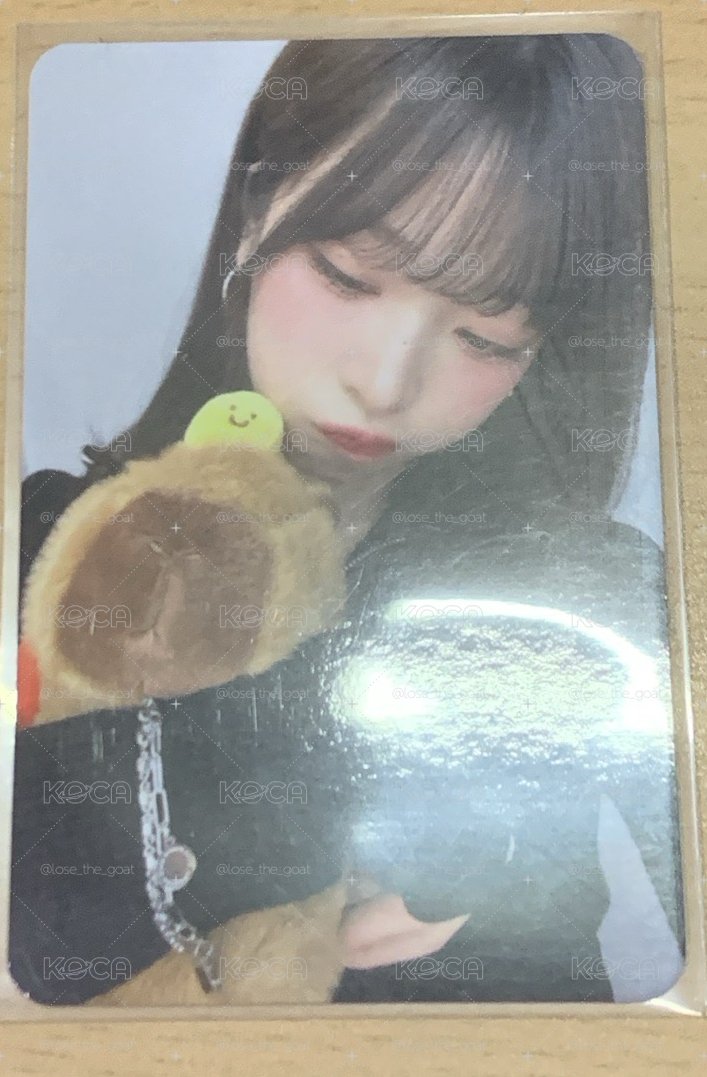 春菜 水豚卡