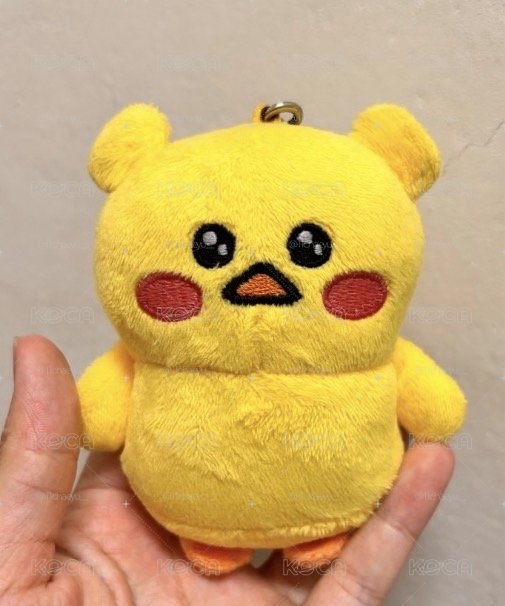 原皮洪屁屁