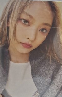 貓專卡