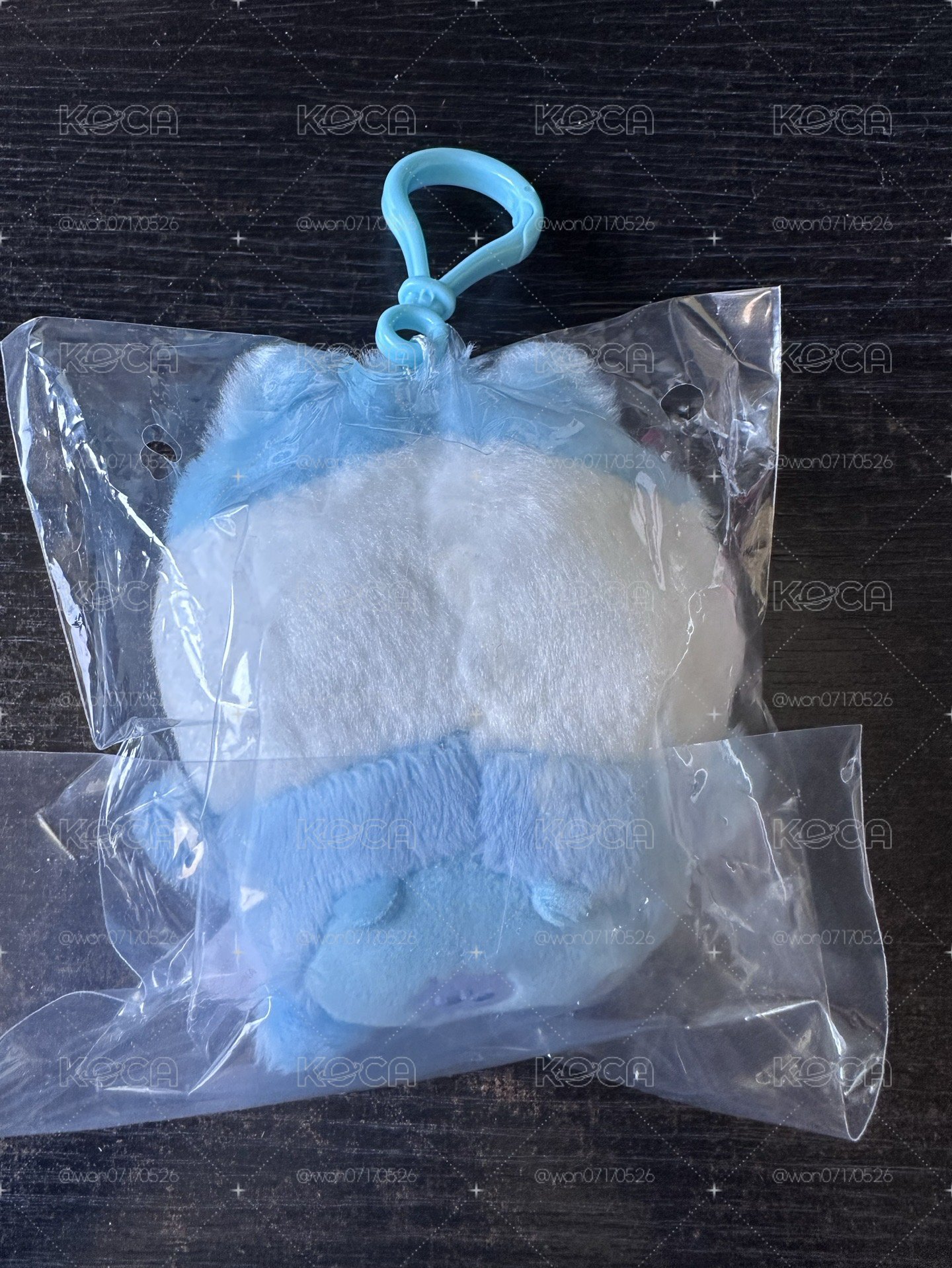 寶寶系列 小八