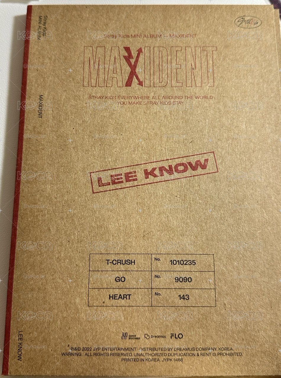 Lee know 空專