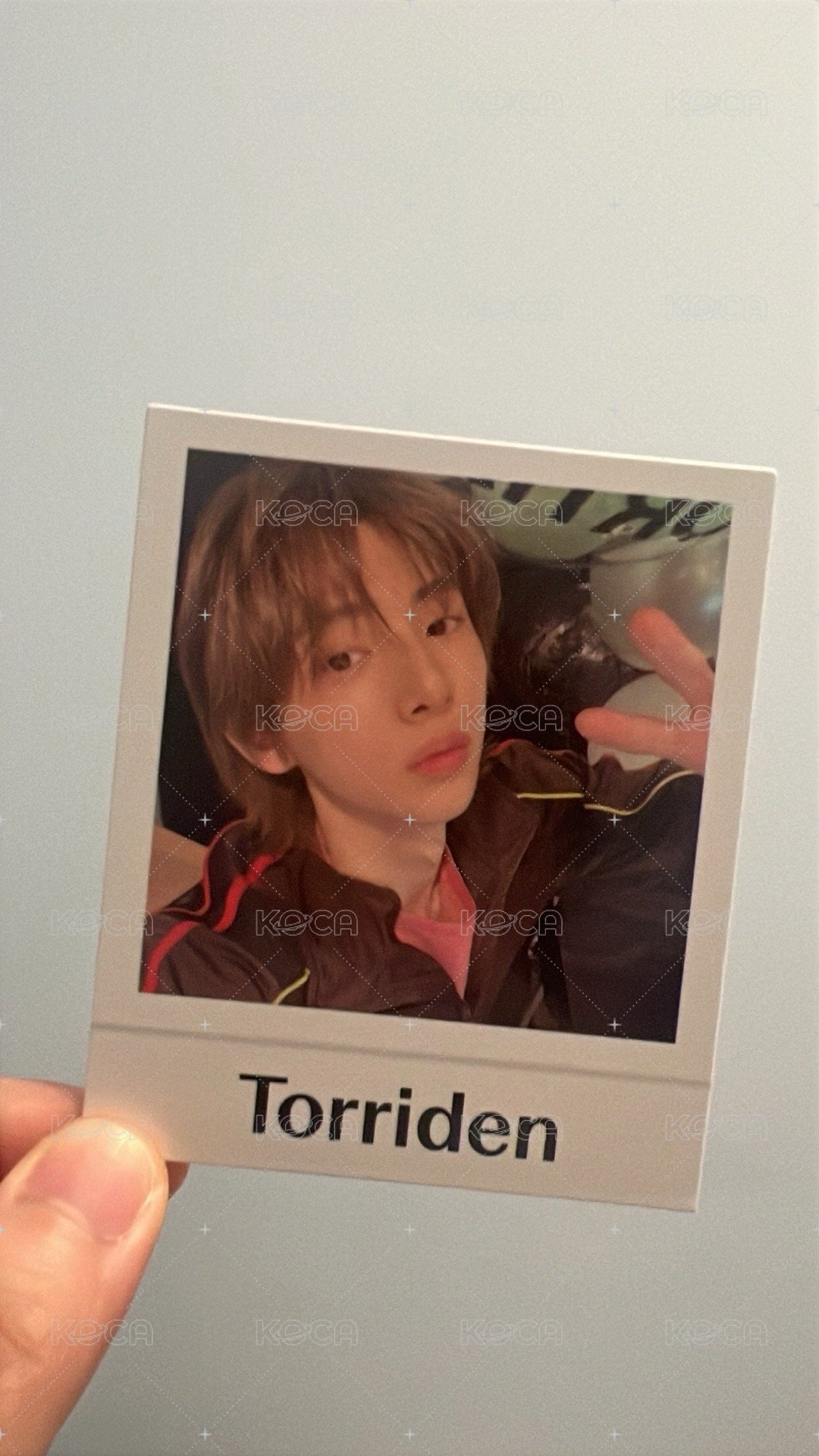Torriden oy代言卡 金主訓