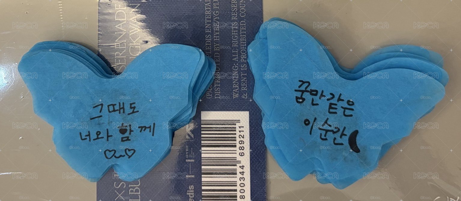 dxs 碩寛 場限 送蝴蝶紙花一套