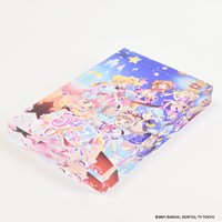 （橫10cm×高15cm×厚2cm）
