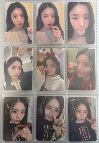 兔子queen 