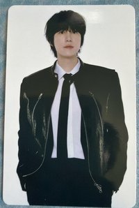 圭