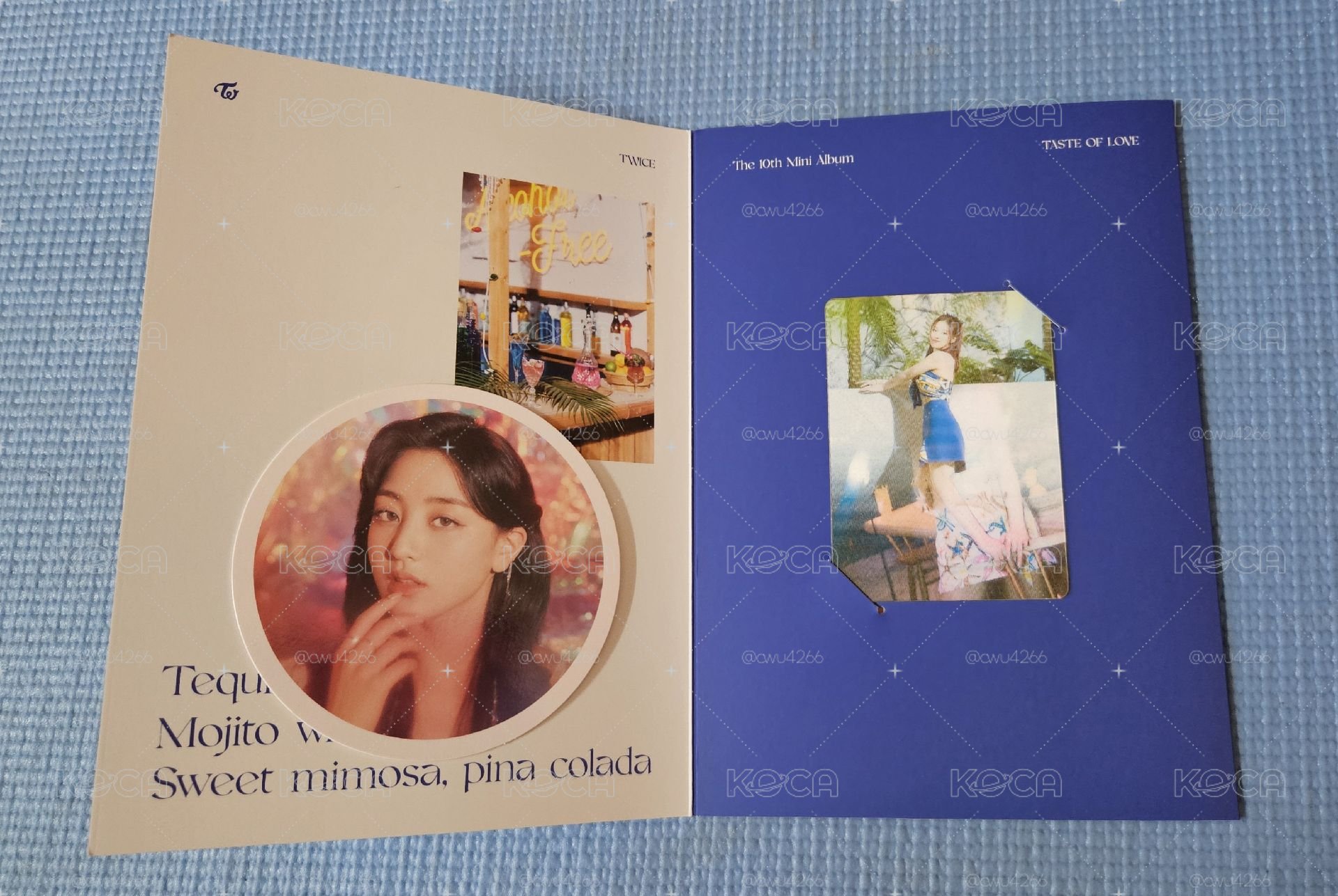 TWICE  迷你10全專