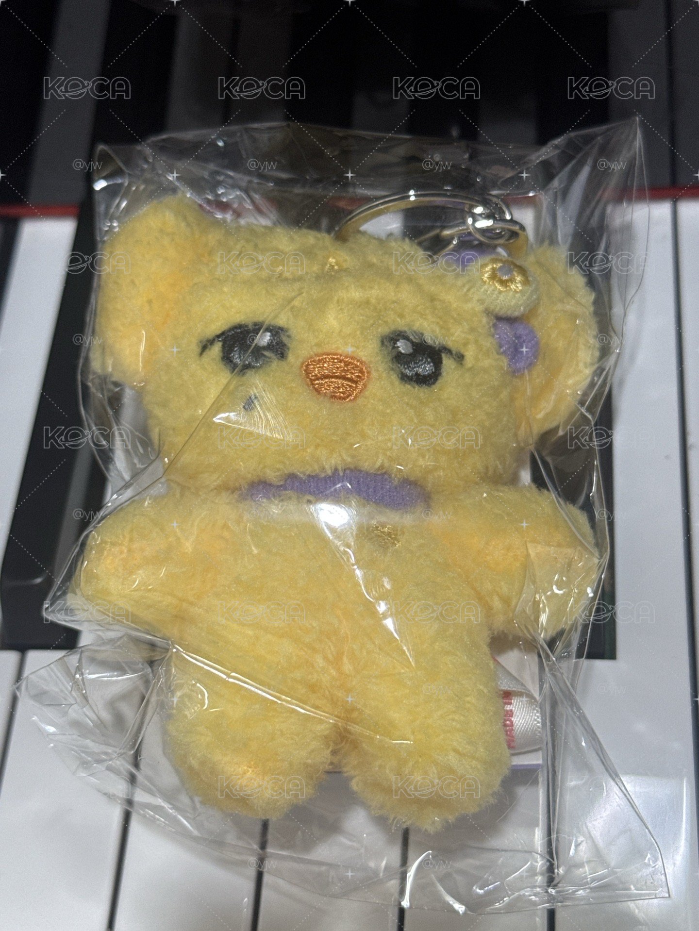未拆 10公分鬧莉