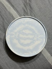 YUSU LILY空專無小卡