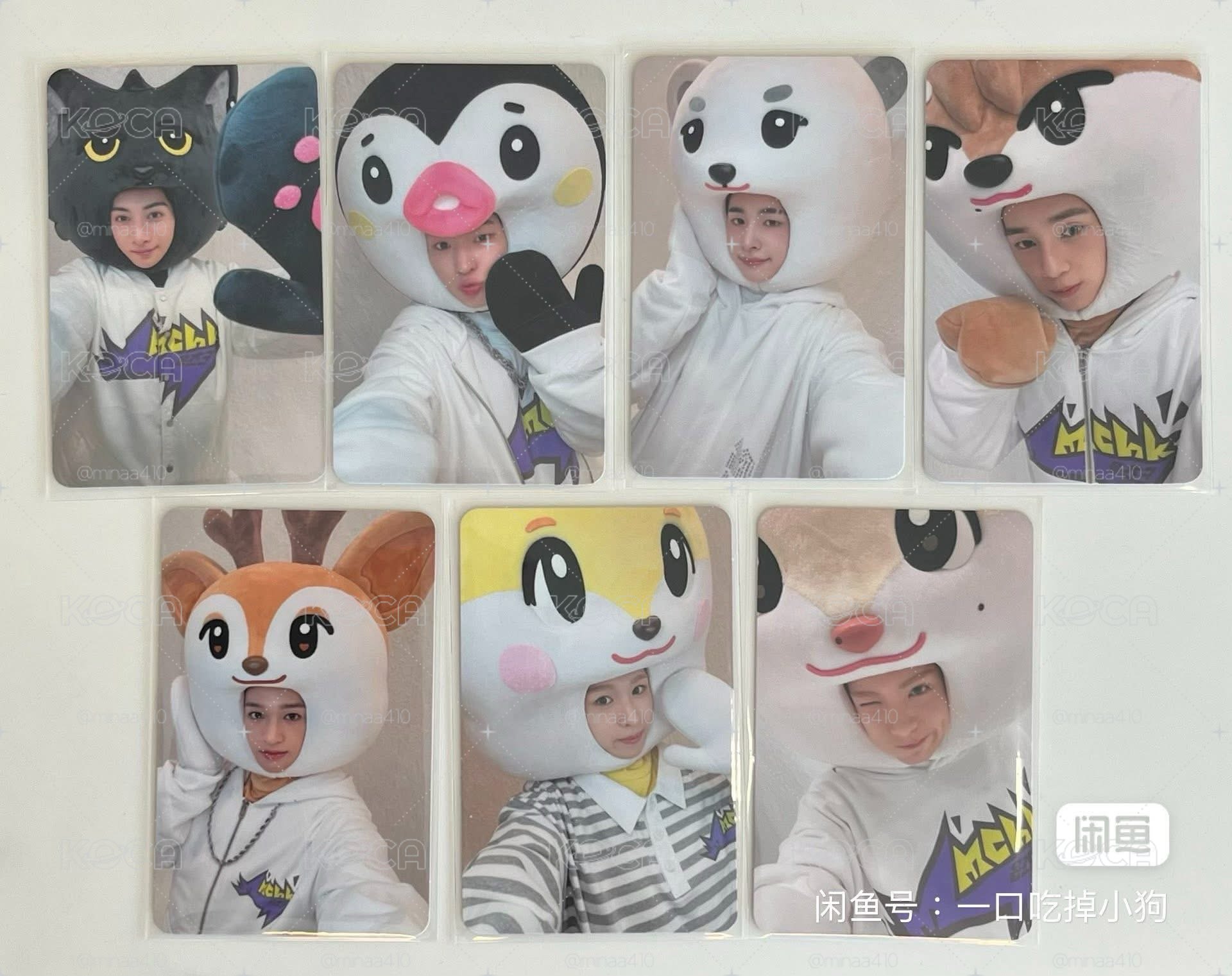 非現 音中打歌 🐧🐈‍⬛🐾🦌🐿️🦦 含明信片
