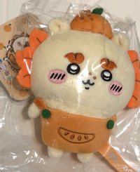 橘子獅薩