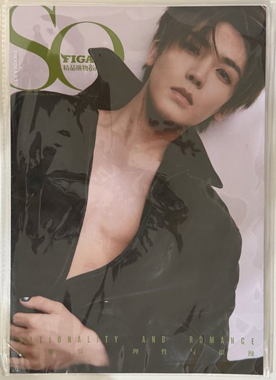 侯明昊雜誌+拍立得+卡