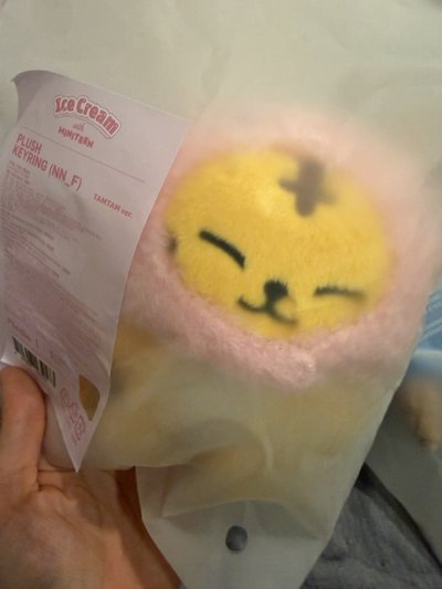 【現貨】ICE CREAM with MINITEEN 甜筒娃&頭套娃
