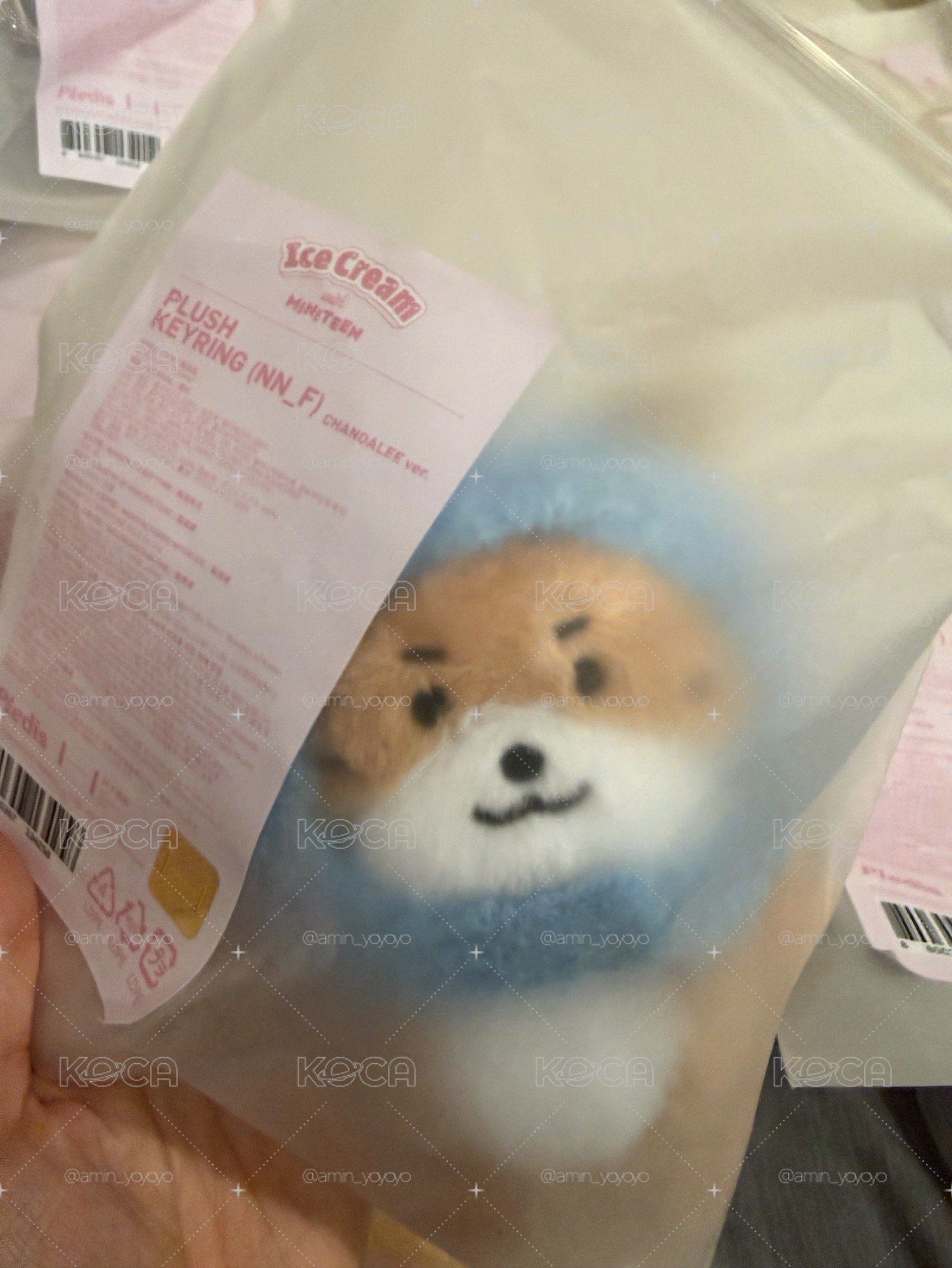 【現貨】ICE CREAM with MINITEEN 甜筒娃&頭套娃