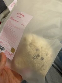 甜筒碩