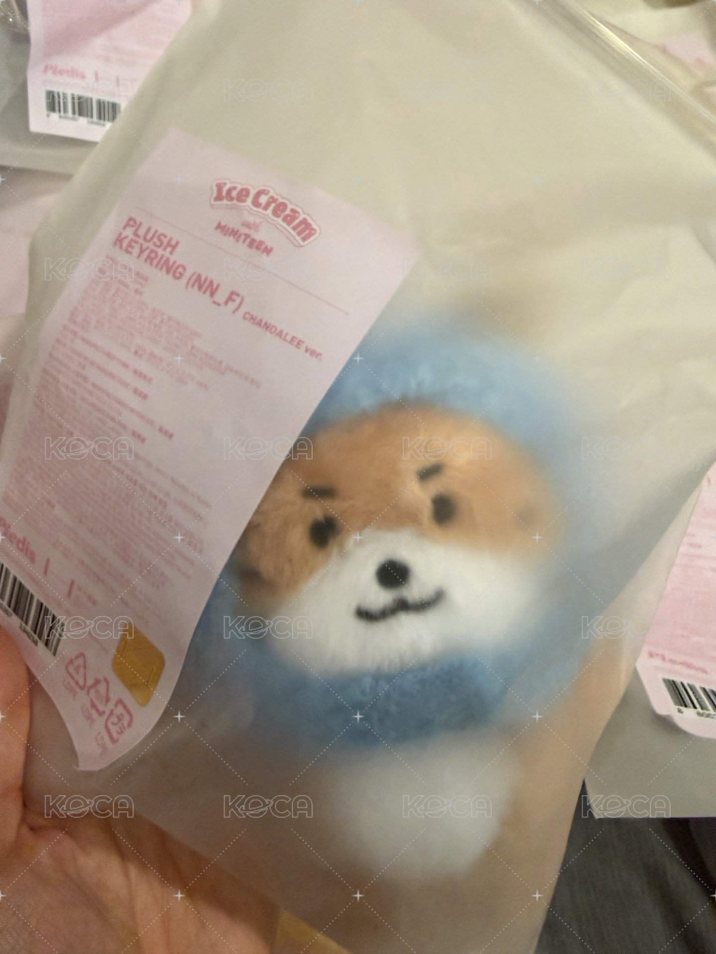 頭套燦