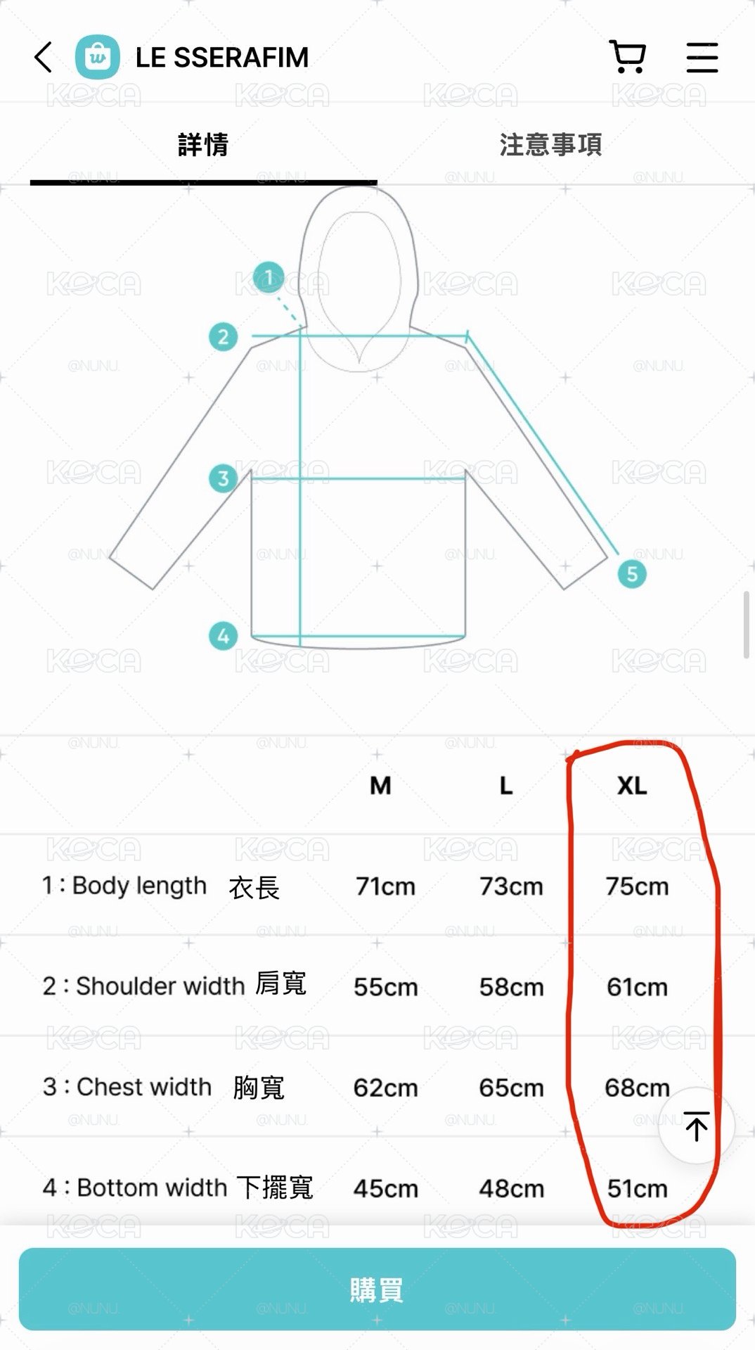 crazy 周邊  熊熊帽T --尺寸XL