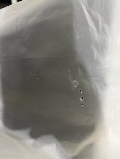 crazy 周邊  熊熊帽T --尺寸XL