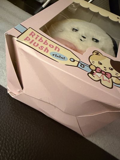 鋭蝴蝶結娃🎀