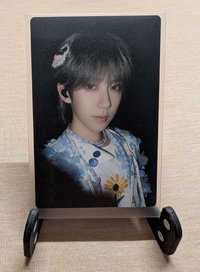 7 N黑背