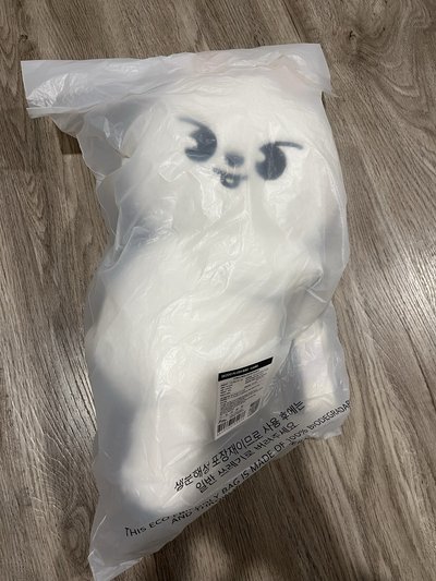 Lee bit側背娃綁P234