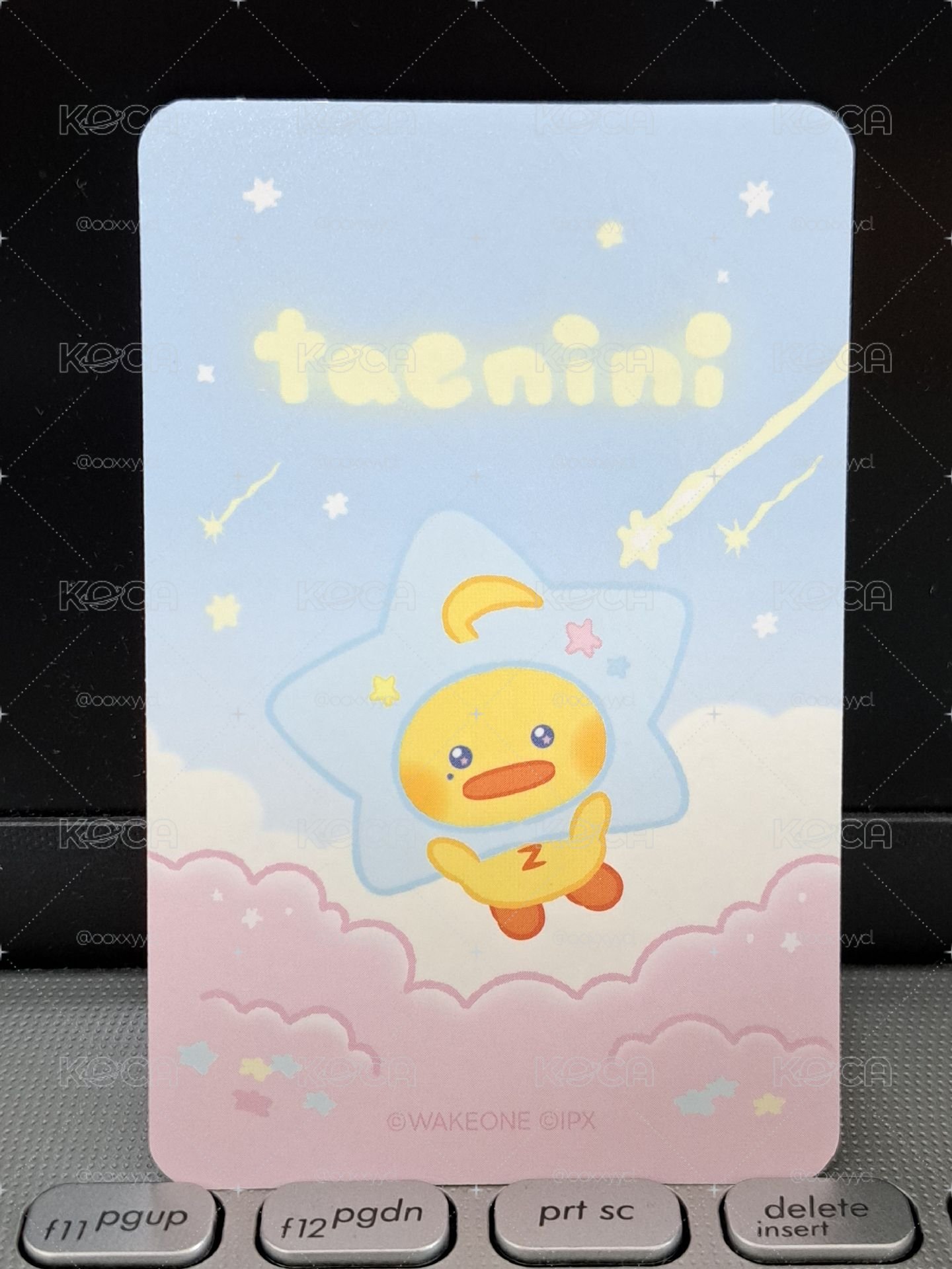 zeroni 星星娃卡來