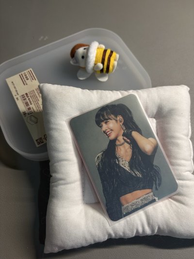LISA 一巡