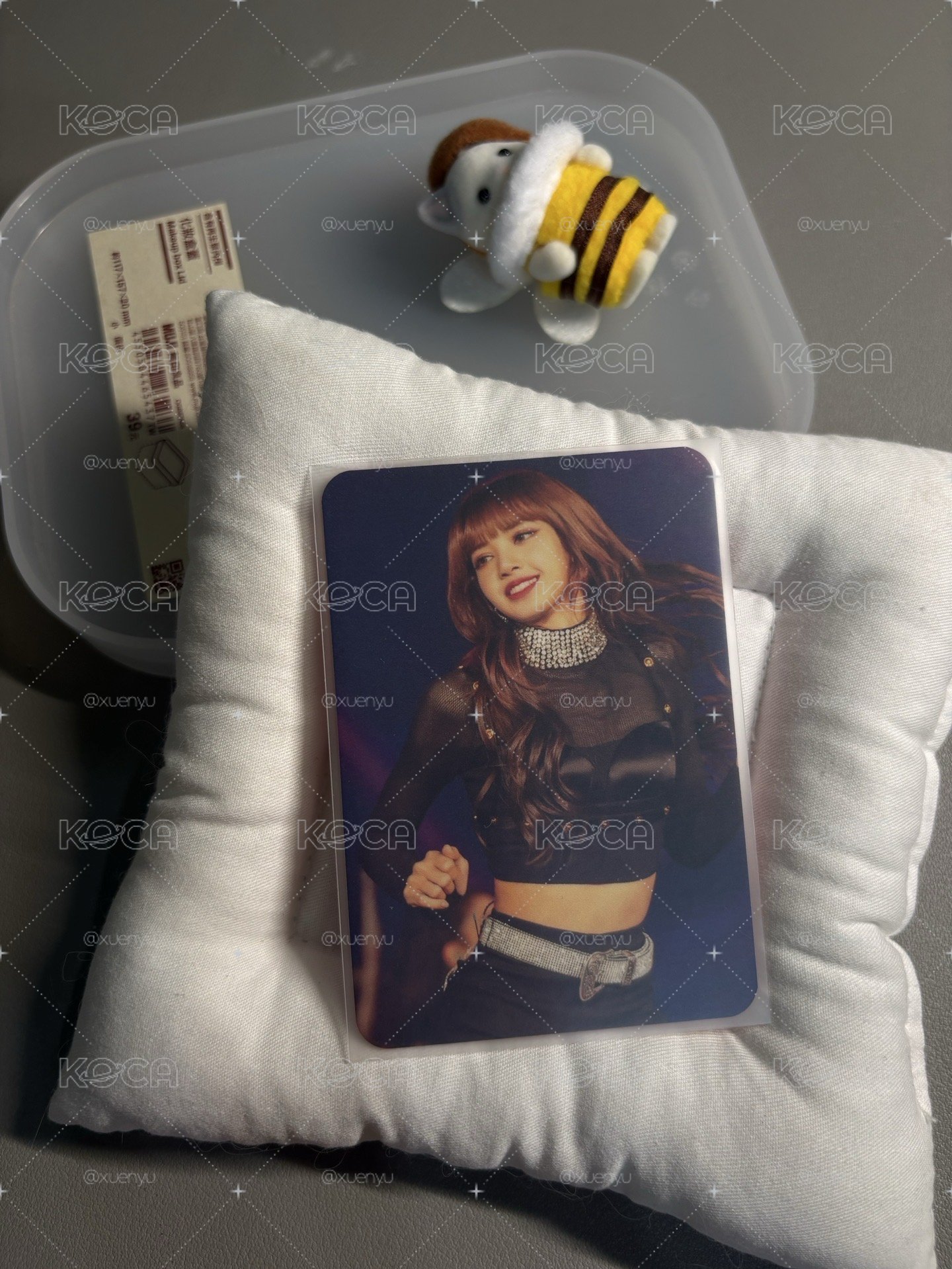 LISA 一巡
