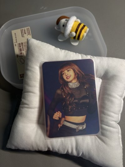 LISA 一巡