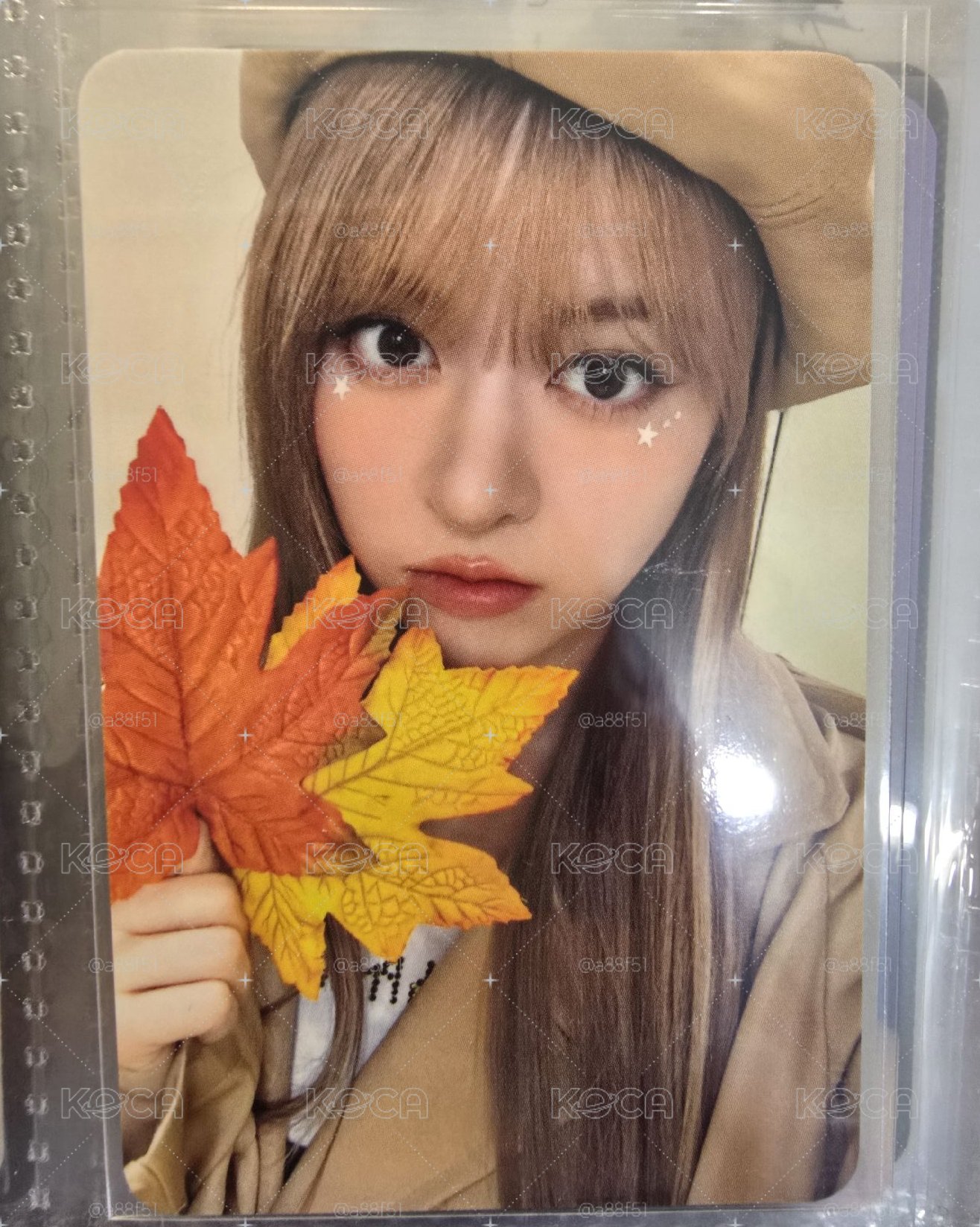 楓葉莉