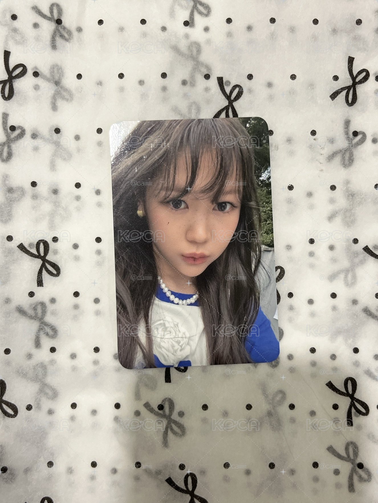 Focus k4 特典卡 Yeon
