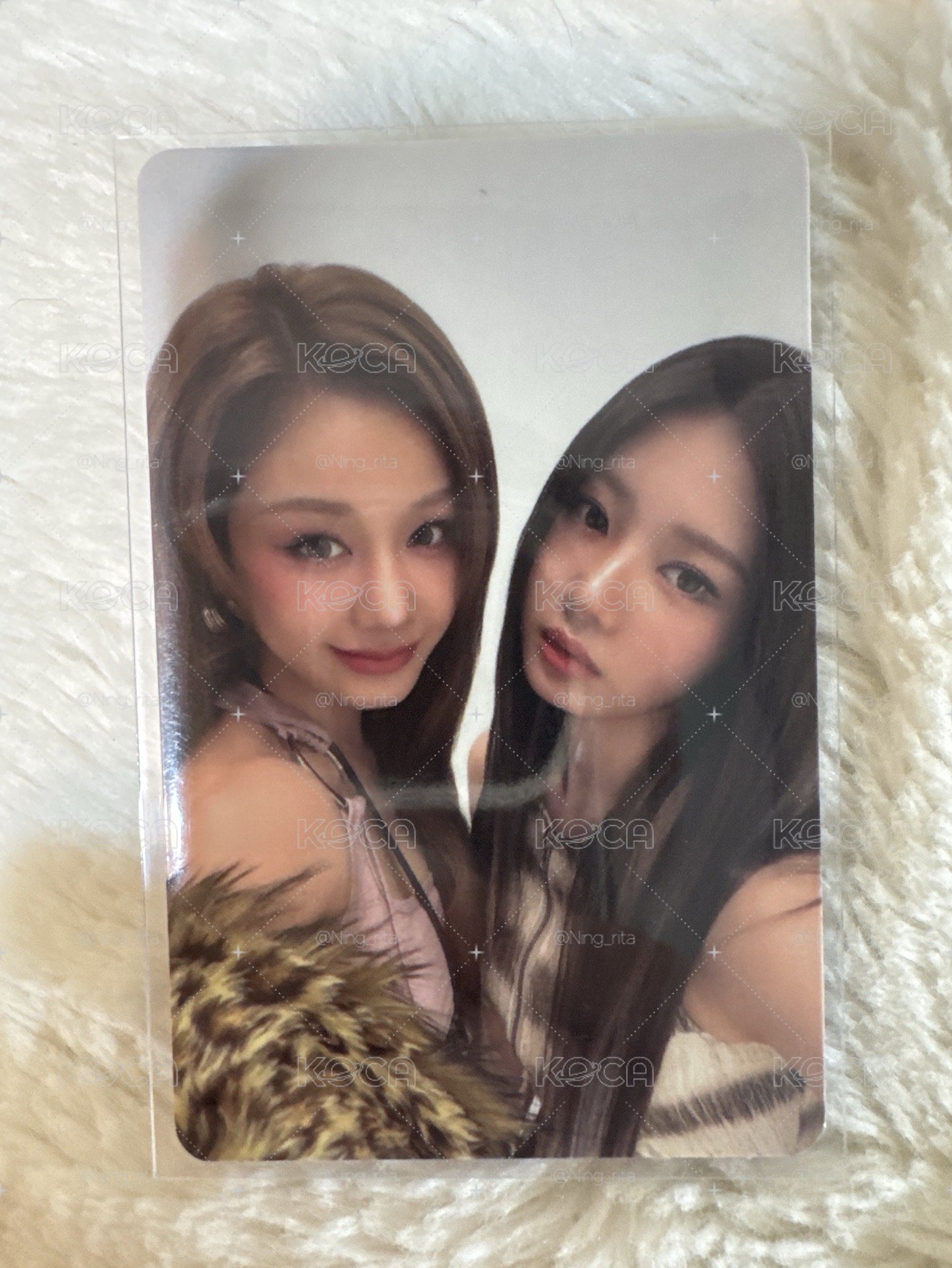 POSTCARD小分隊卡