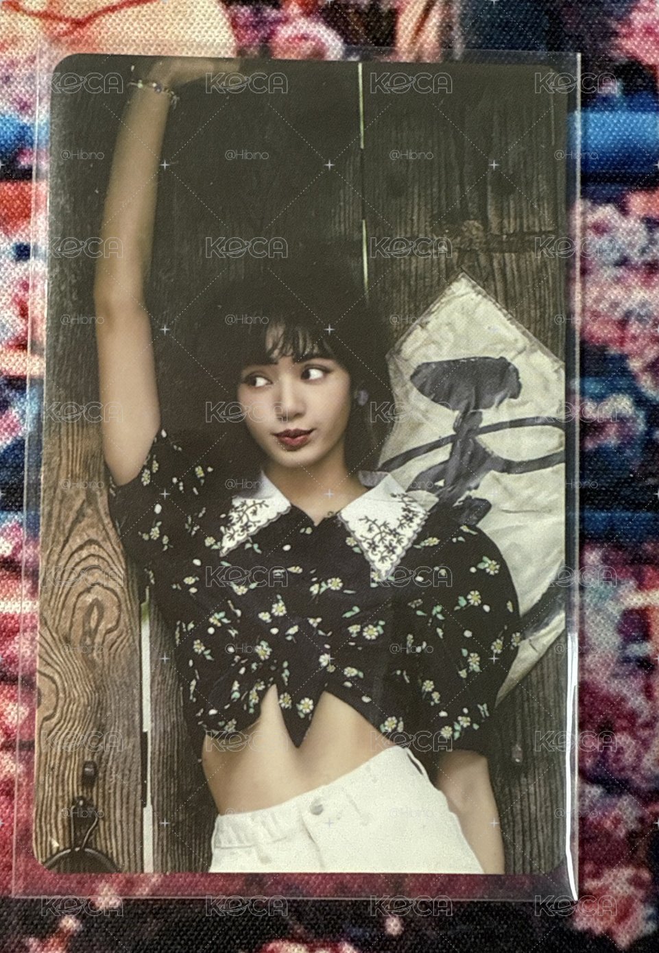 夏日日記莎
