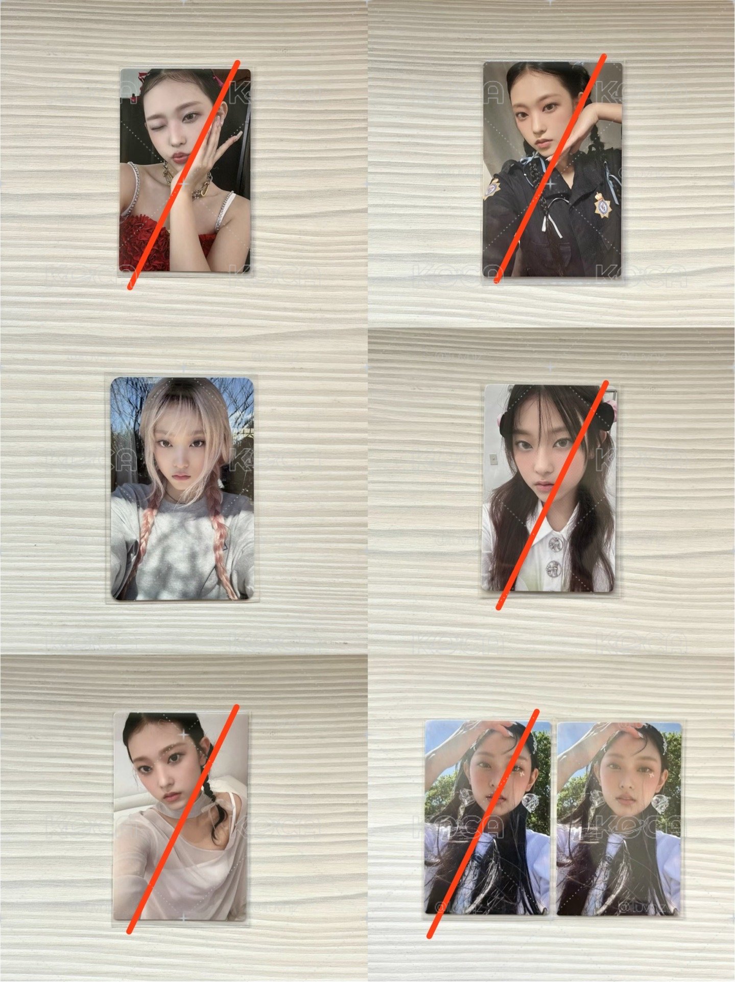 貓